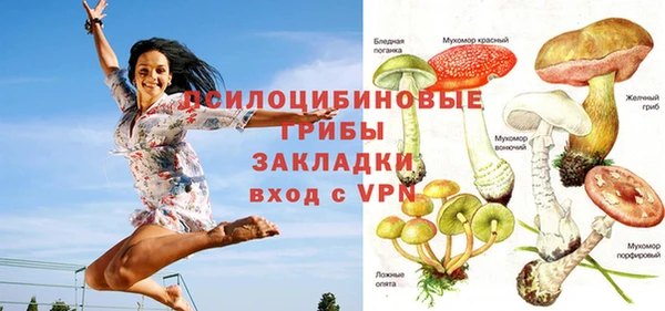 стафф Осинники