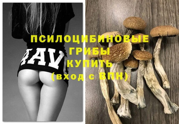 соль ск Абинск