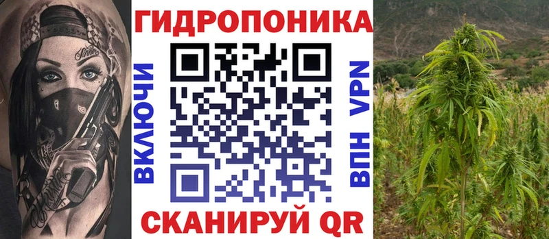 Конопля гибрид Заринск